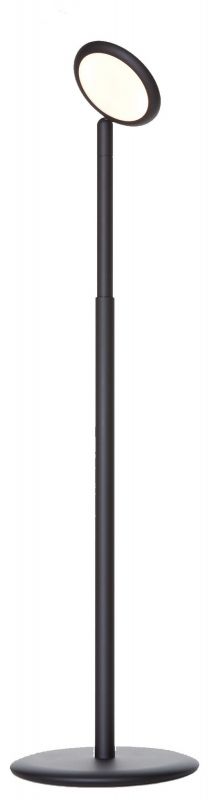 Parrot Floor lamp Grau